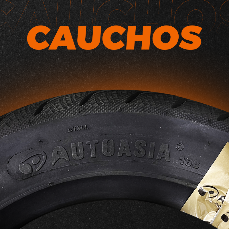 portada-cauchos Caucho 16 110-90-17 37T TL