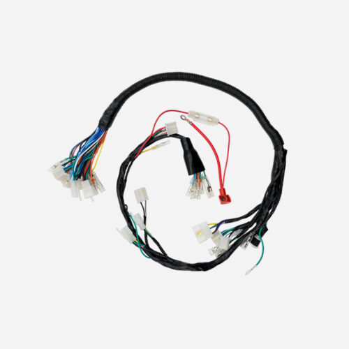 CABLEADO COMPLETO EEX