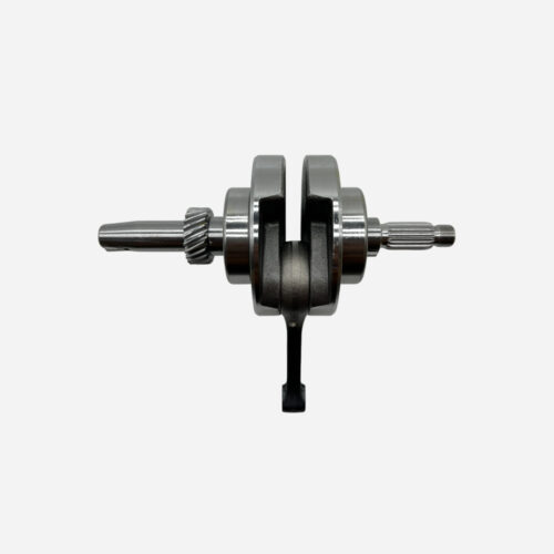 1016PF0006 PF-CIGUEÑAL ERK 2024