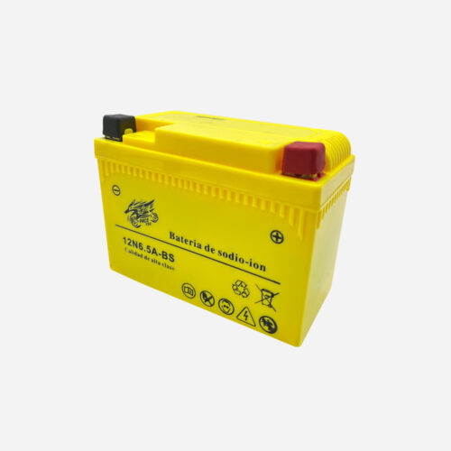 PF-BATERIA DE IONES DE SODIO CG150 12N6.5A-BS