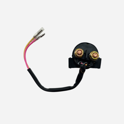 PF-PF-COCHINITO BLE 2024