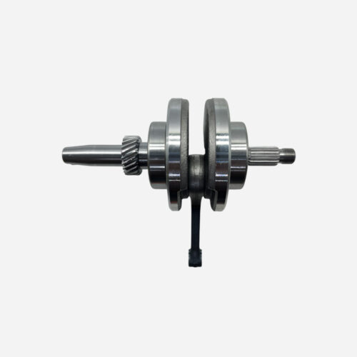 CIGUEÑAL EEX 2024 (ESTRIAS)