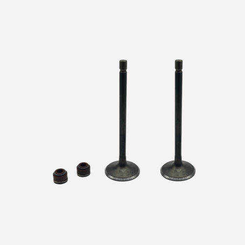 VALVULA CG150 PATA LARGA