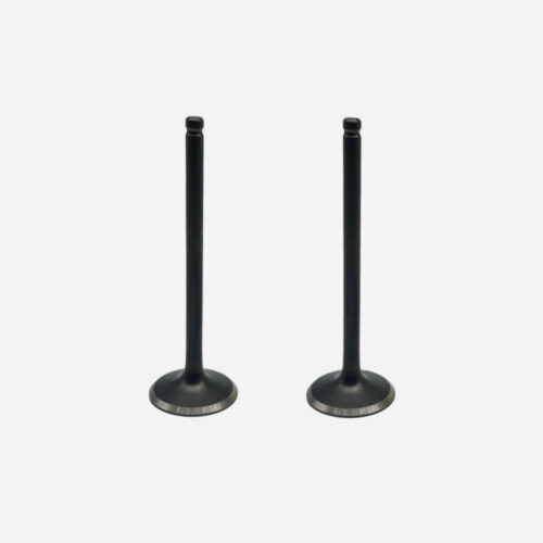 1034PF0008 PF-VALVULA CG150 PATA CORTA