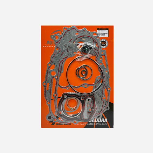 KIT DE EMPACADURA BR1/ B-200