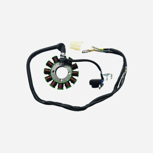 PF-EMBOBINADO DE BCARGUE 200CC