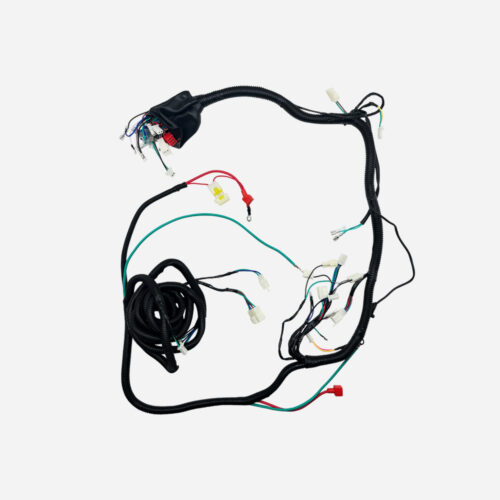 PF-CABLEADO COMPLETO BCARGUE