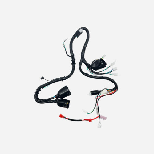 PF-CABLEADO COMPLETO ERK 2024