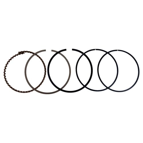 ANILLO DE PISTON DORADO BR1 1.00 10 PQ