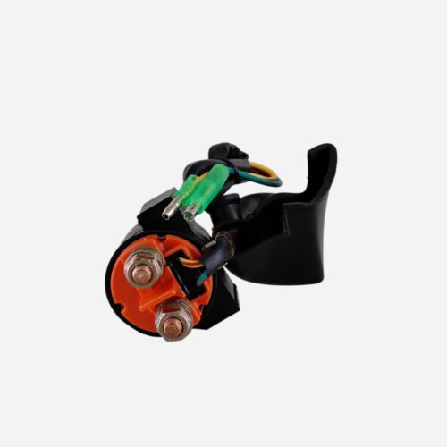 COCHINITO B150R 2024