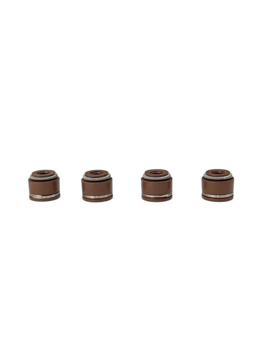 GORROS DE VALVULAS GY6/SGN125 (PQTE 20 UND)