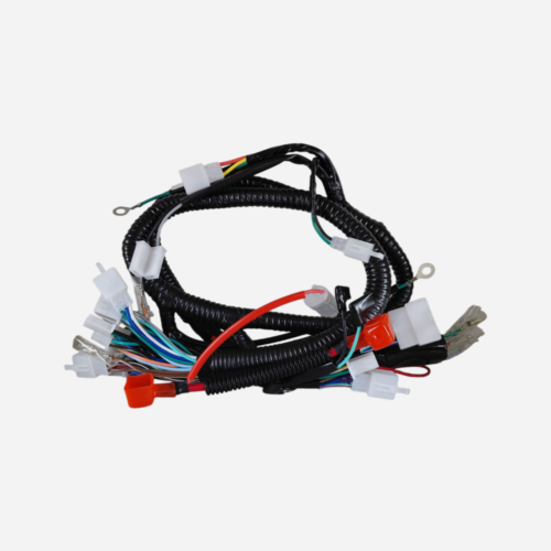 PF-CABLEADO COMPLETO EEX 2024