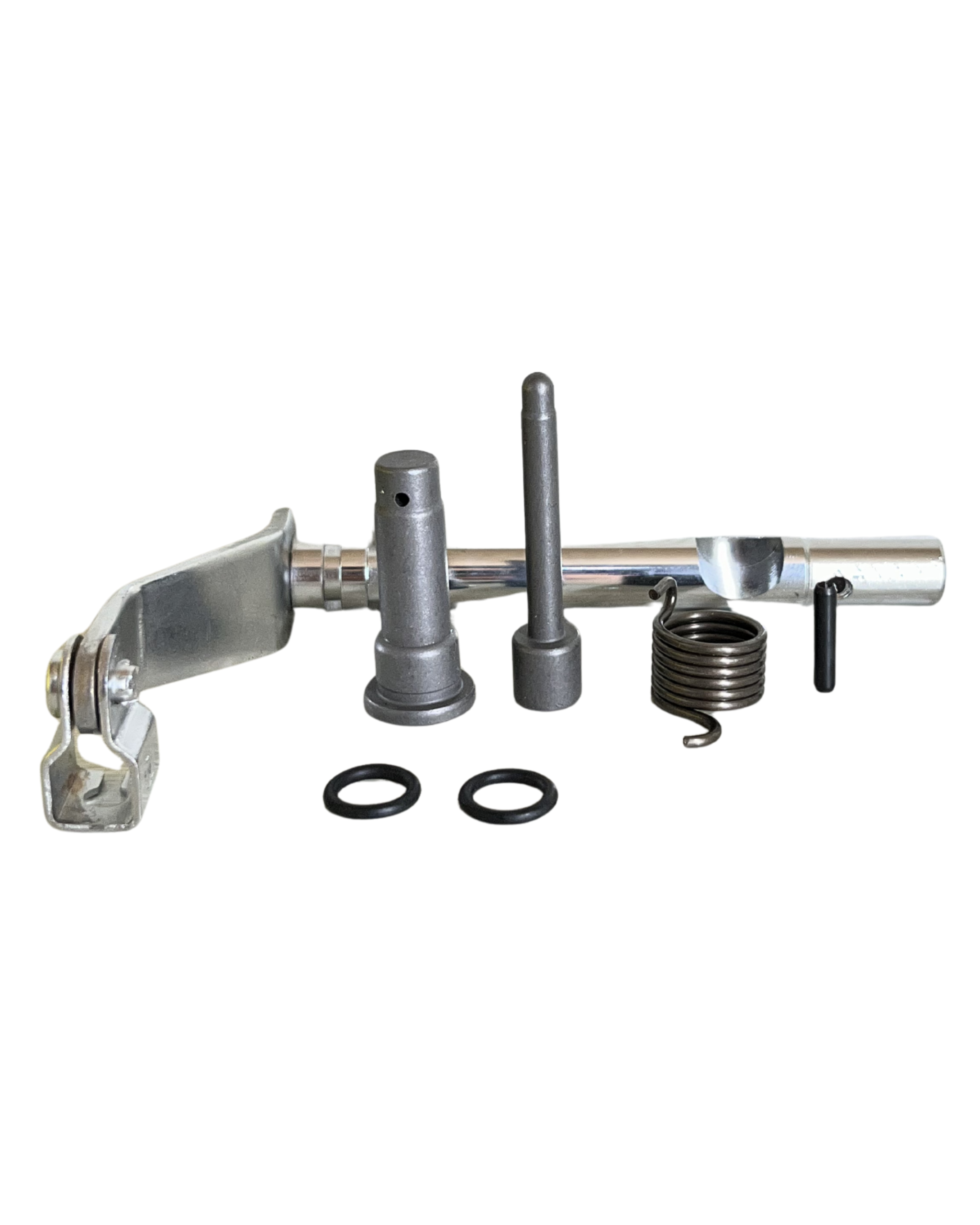 PF-LEVA DE CLOCHE ERK 2024