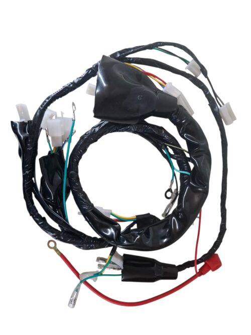 CABLEADO COMPLETO EH1 NEW 2024
